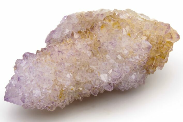 Cactus Quartz (Amethyst) Crystal Cluster - South Africa #237407